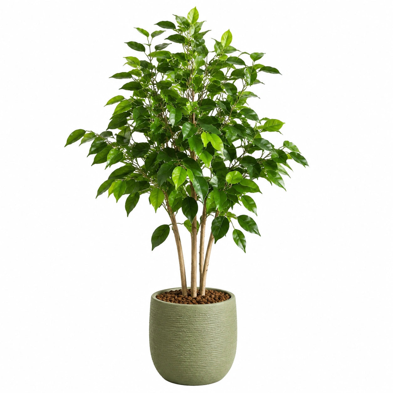 Arbre artificiel ficus 150 cm en plastique vert avec pot cylindrique style naturel