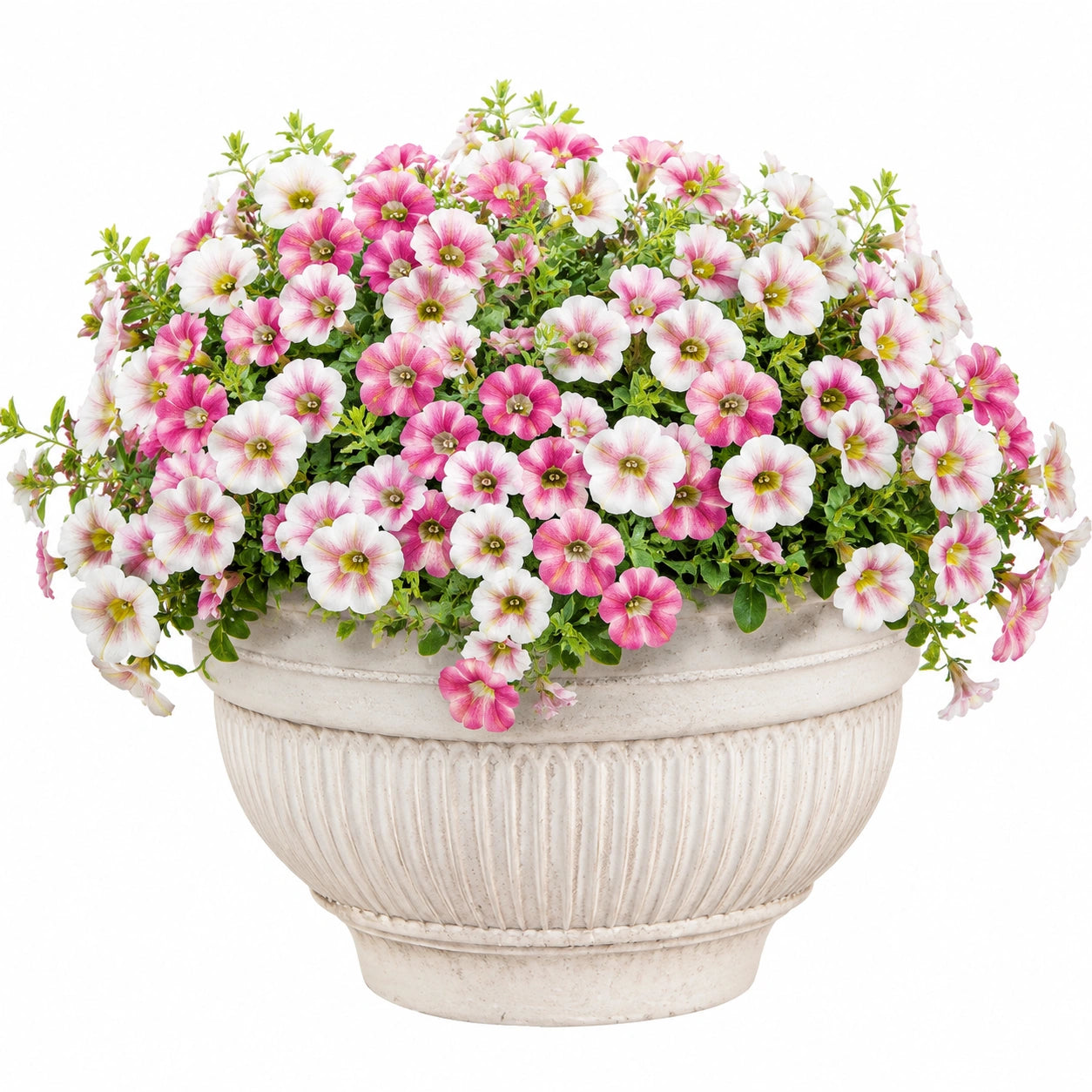 Plante artificielle en pot 35 cm fleurs roses et blanches pour décoration intérieure