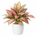 Plante artificielle en pot 65 cm feuillage rose et vert décoratif intérieur
