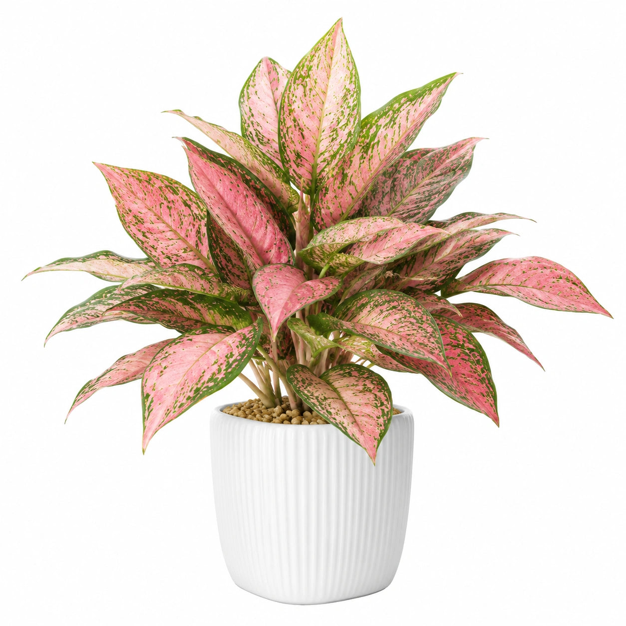 Plante artificielle en pot 65 cm feuillage rose et vert décoratif intérieur