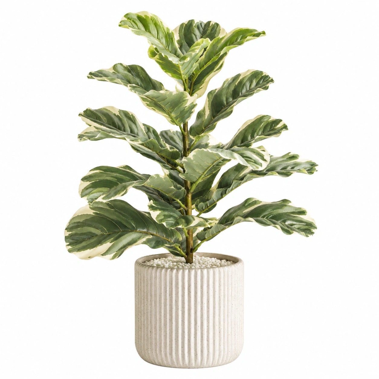 Plante verte artificielle 120 cm feuillage panaché vert crème en pot céramique